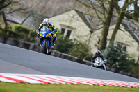 Oulton-Park-21st-March-2020;PJ-Motorsport-Photography-2020;anglesey;brands-hatch;cadwell-park;croft;donington-park;enduro-digital-images;event-digital-images;eventdigitalimages;mallory;no-limits;oulton-park;peter-wileman-photography;racing-digital-images;silverstone;snetterton;trackday-digital-images;trackday-photos;vmcc-banbury-run;welsh-2-day-enduro